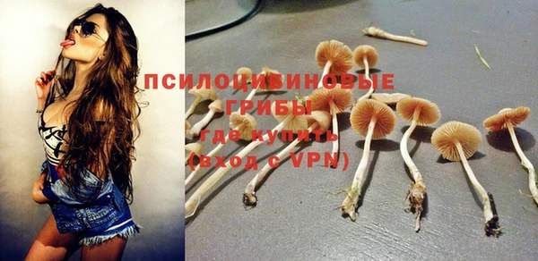 каннабис Аркадак