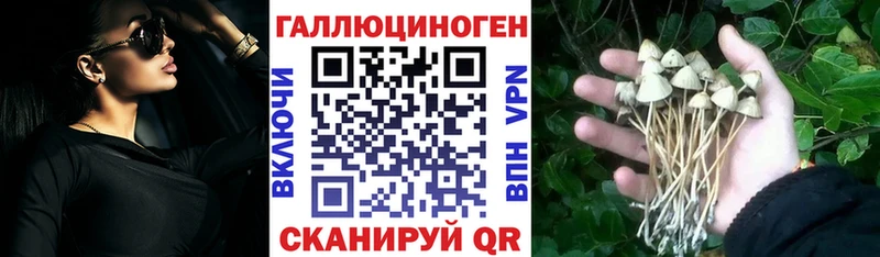 цены наркотик  Нововоронеж  Псилоцибиновые грибы Cubensis 
